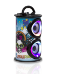 KARAOKE SPEAKER - KARAOKE SPEAKER KBQ-06M