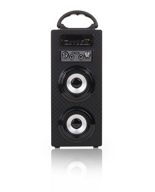 KARAOKE SPEAKER KBQ-603