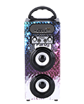 KARAOKE SPEAKER - KARAOKE SPEAKER KBQ-604