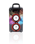 KARAOKE SPEAKER - KARAOKE SPEAKER KBQ-162AM