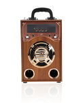 KARAOKE SPEAKER - PORTABLE SPEAKER KBQ-171