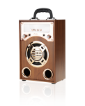 KARAOKE SPEAKER - PORTABLE SPEAKER KBQ-171