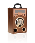 KARAOKE SPEAKER - PORTABLE SPEAKER KBQ-171