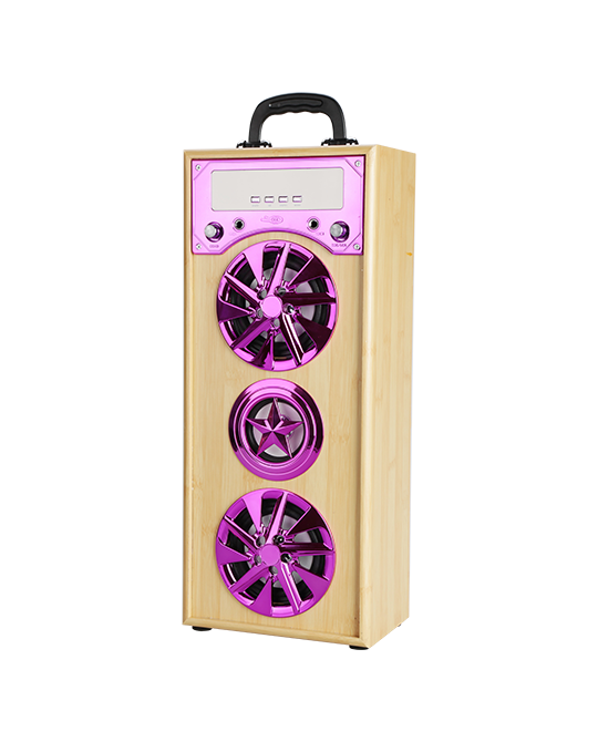 PORTABLE SPEAKER KBQ-173